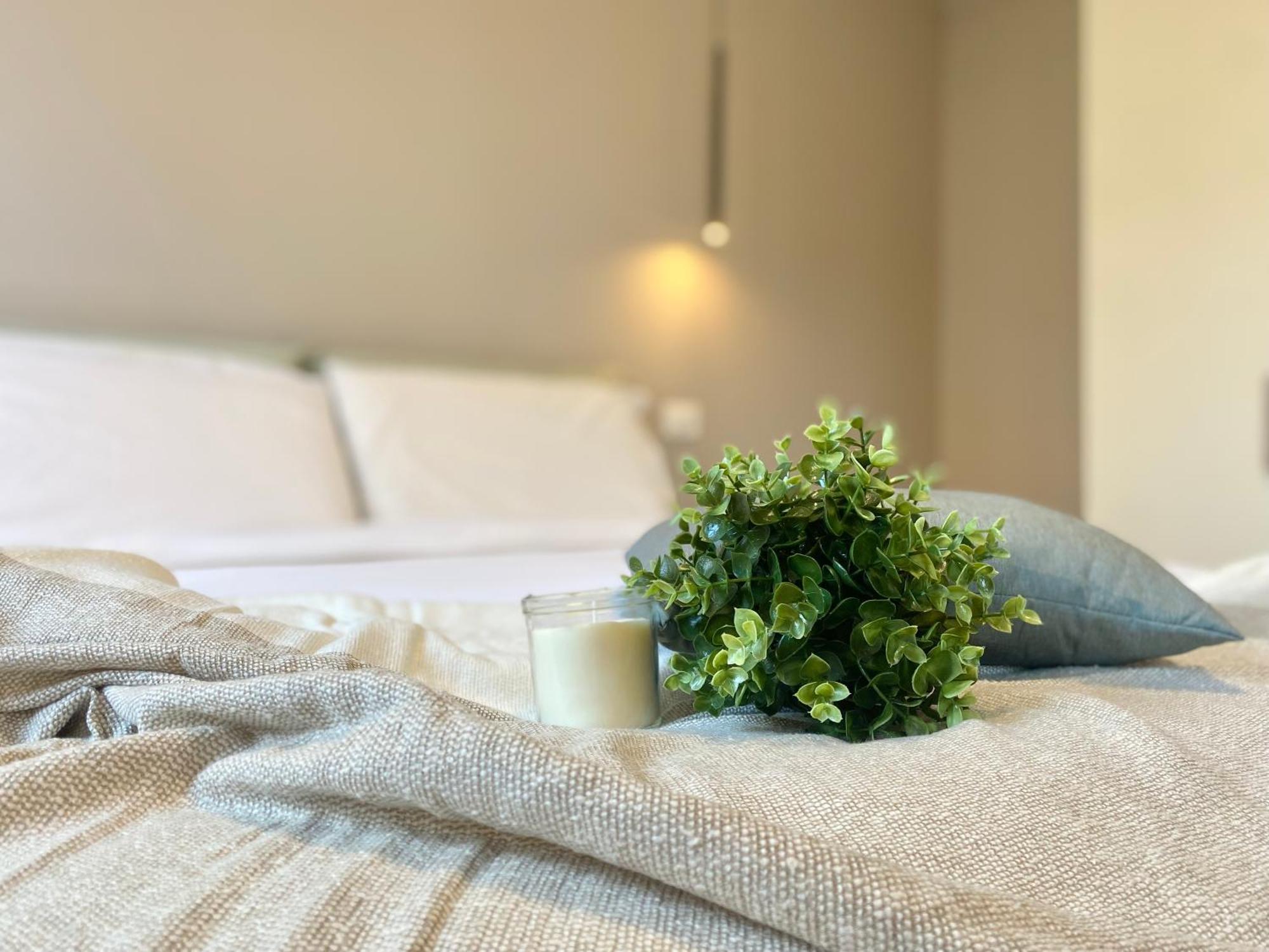 Casaviva - Apartment In The Historic Center - Land Janov Exteriér fotografie